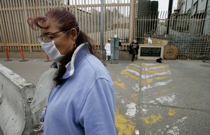 U Čileu su pronašli purane zaražene svinjskom gripom
