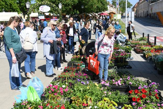 Obilježavanje Dana grada Križevaca uljepšano je cvjetnom manifestacijom "Križevci u cvijeću"