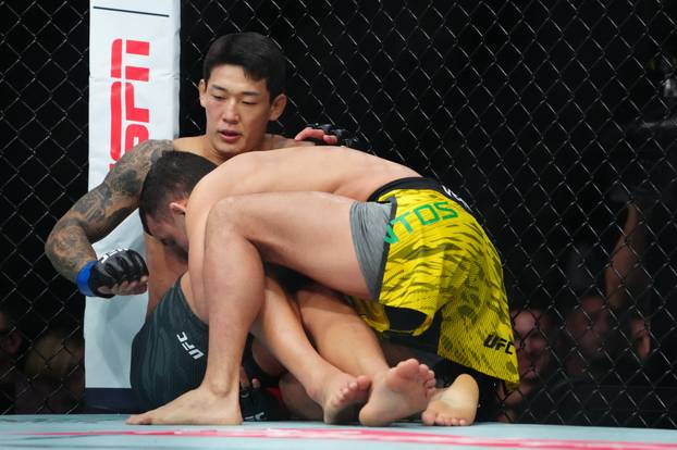 MMA: UFC 320 - Santos vs Yoo