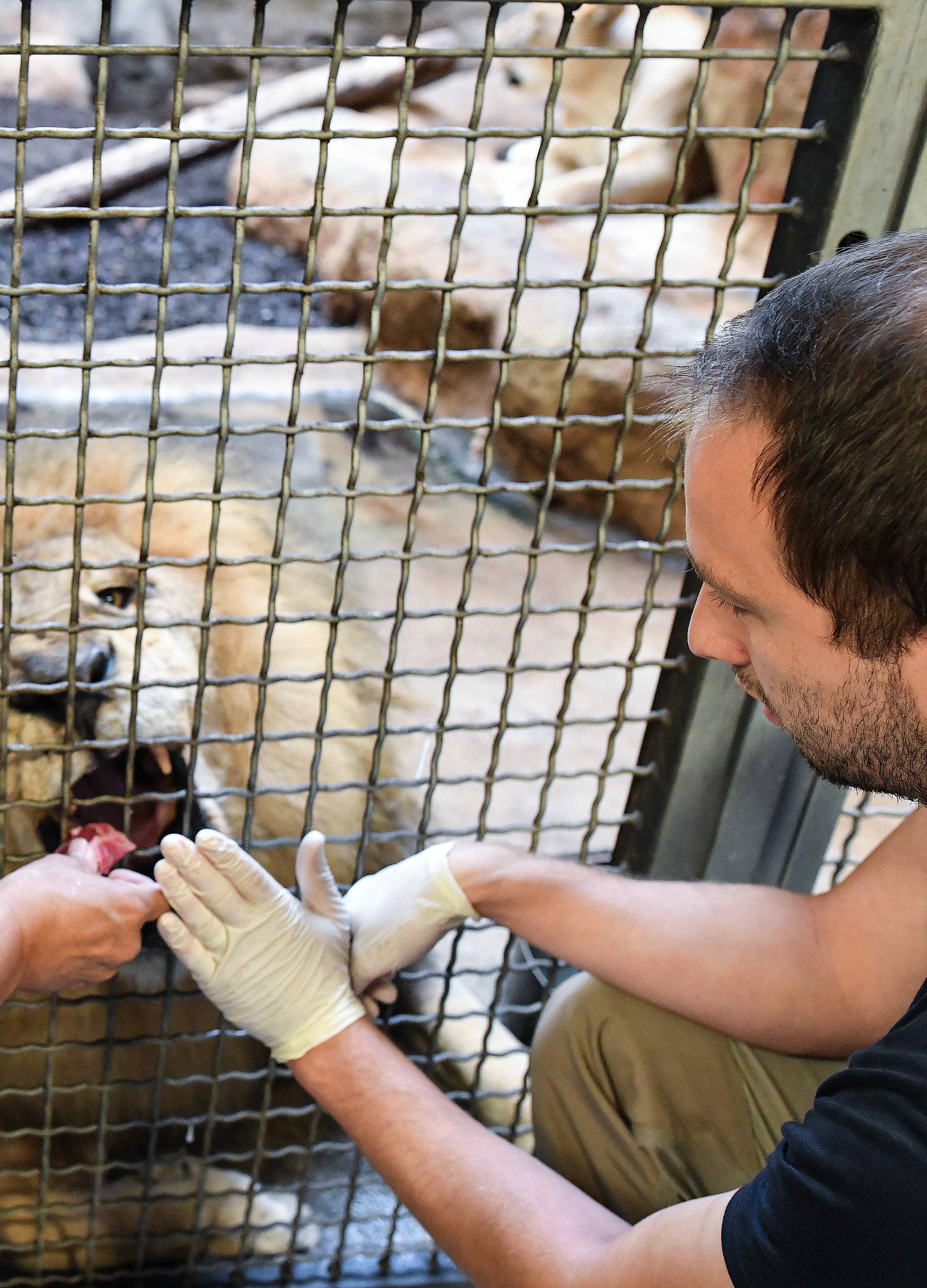 Yuri Cortez posjetio je ZOO Zagreb i dao ime maloj gibonici