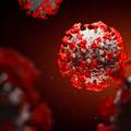 Novi problemi: Pojavio se nepoznati soj korona virusa