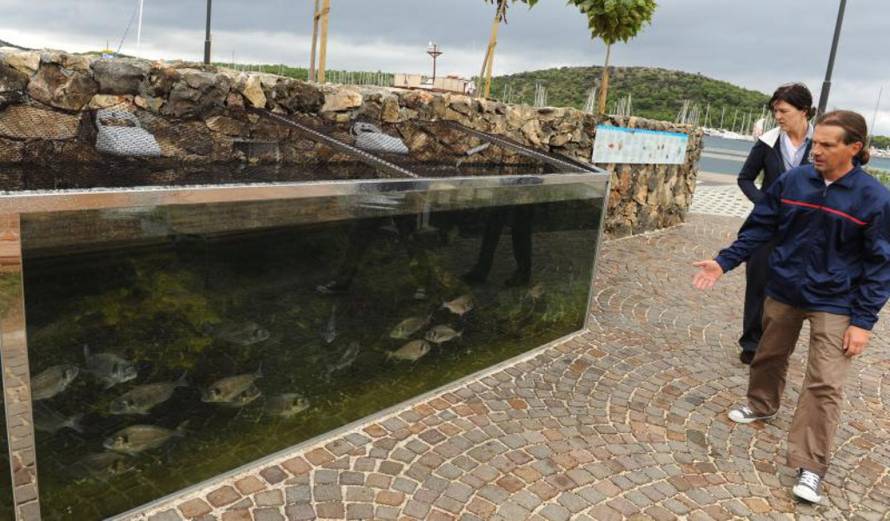 Hrvoje Jelavić/Pixsell