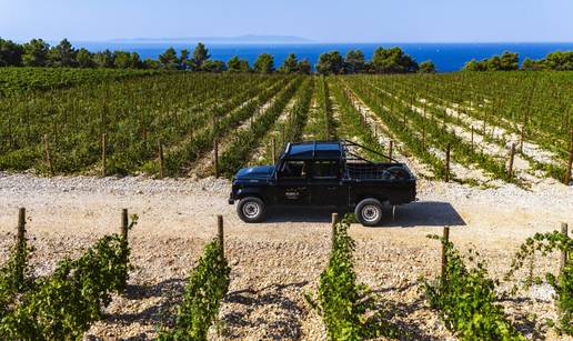 Povijesni dan za hrvatsko vinarstvo! Ambiciozna vinarija odradila je prvu berbu