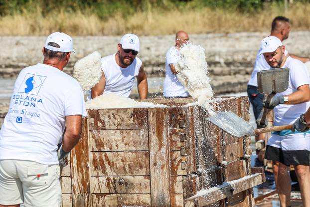 Berba soli u Stonskoj solani