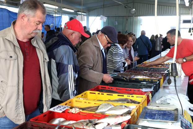 Šibenik: Ponuda ribe na šibenskoj ribarnici