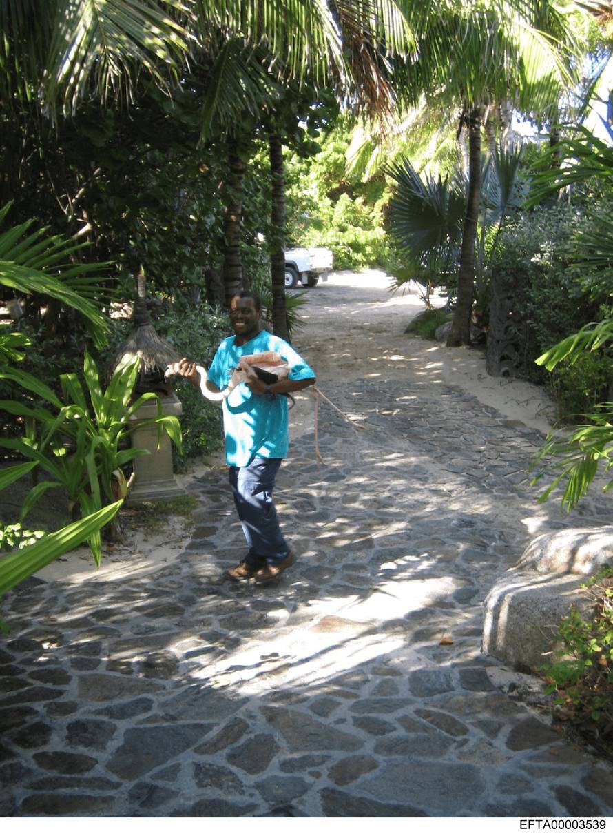 Ruskinje, privatni letovi, party na otoku: Ovako je Epstein gradio svoju mrežu sa slavnima