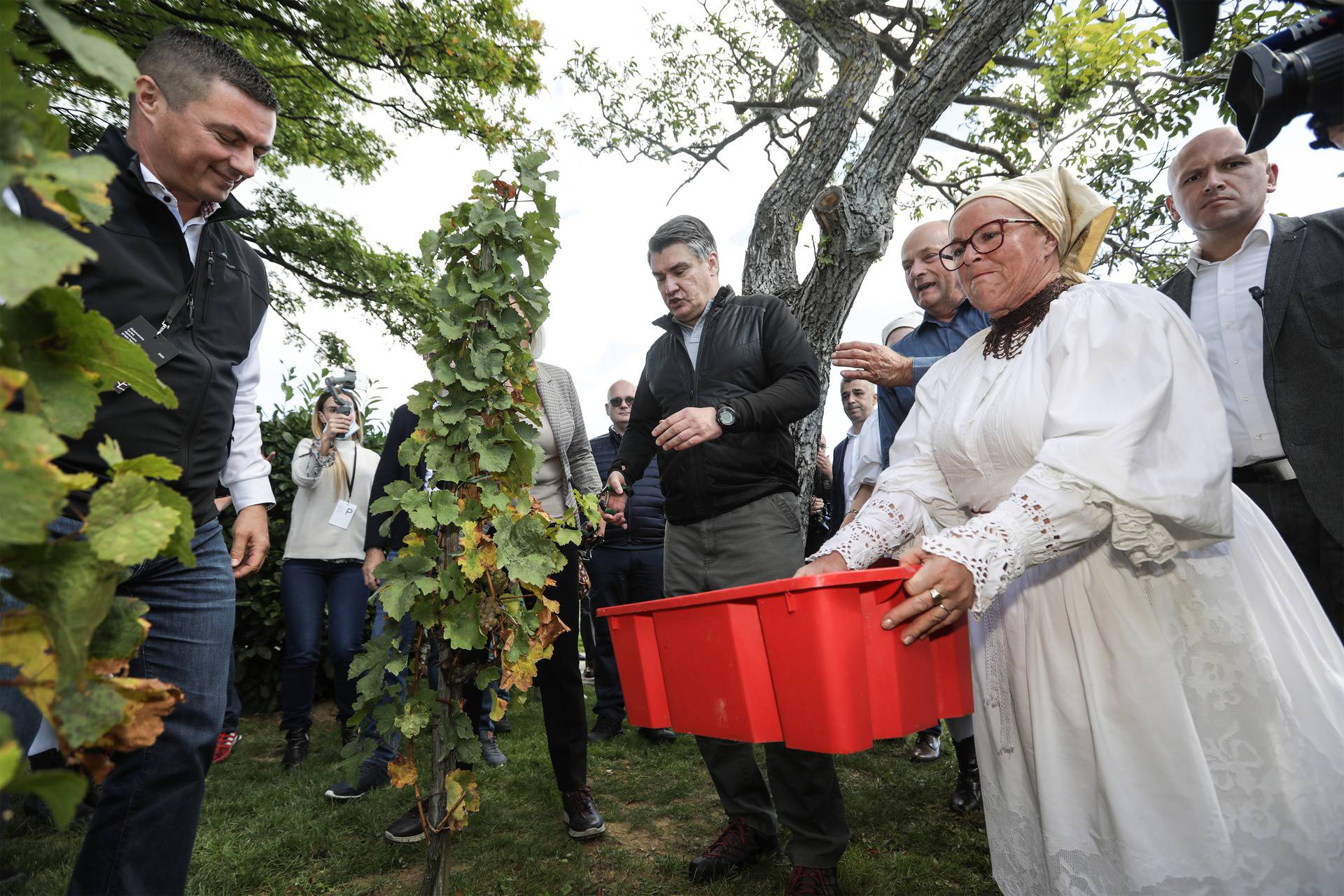 Borba za odabir aviona i na berbi grožđa u Jaski: 'Lobiranje' sa zaštitnim maskama na licima