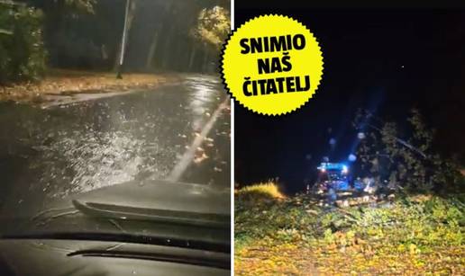 Nevrijeme pogodilo Zagreb. Vatrogasci su imali više od 50 intervencija! Pogledajte fotke