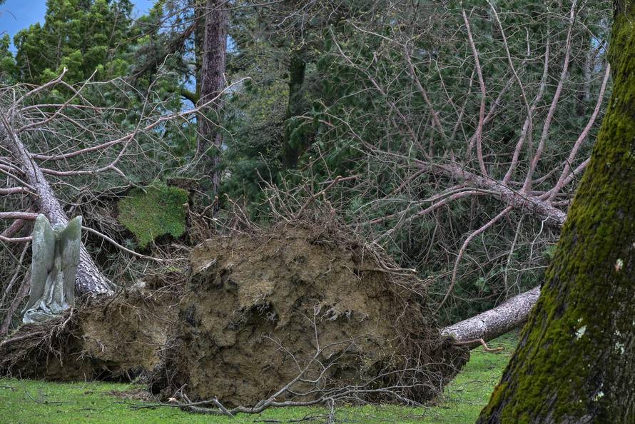 Zagreb: U nevremenu teško  oštećeno gradsko groblje Mirogoj