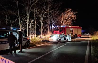 Tragedija u Istri: Zbog brzine izletio iz zavoja i zabio se u drugi auto, poginulo dvoje ljudi