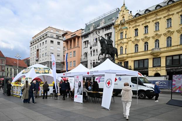 Zagreb: Obilježavanje jubilarnog 30. Dana narcisa