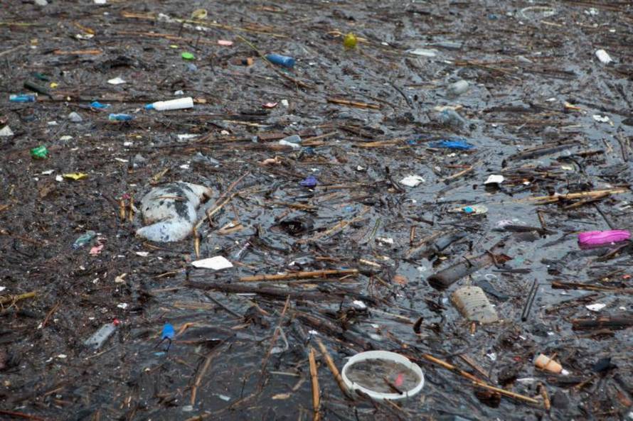 Grgo Jelavić/PIXSELL