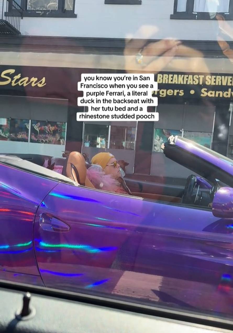 VIDEO BIZARNO Muškarac s patkom u ljubičastom Ferrariju prijetio pištoljem! Došla policija