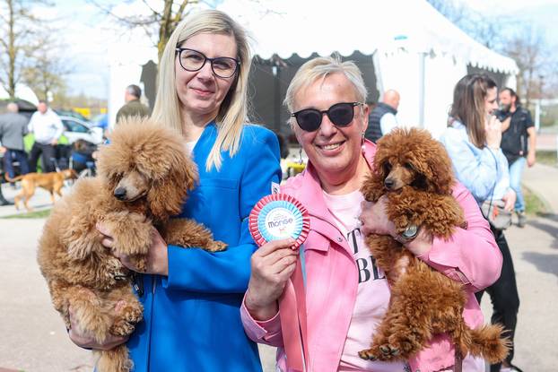 Zaprešić: Ispred Wesgatea održana međunarodna izložba pasa