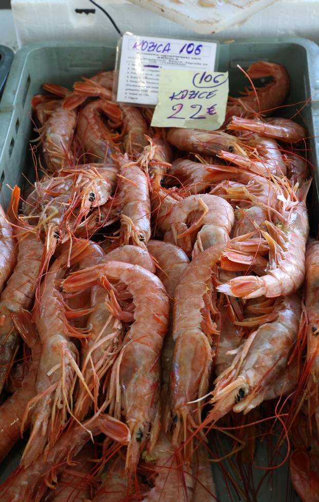 Šibenik:Bogata ponuda ribe na sibenskoj ribarnici.