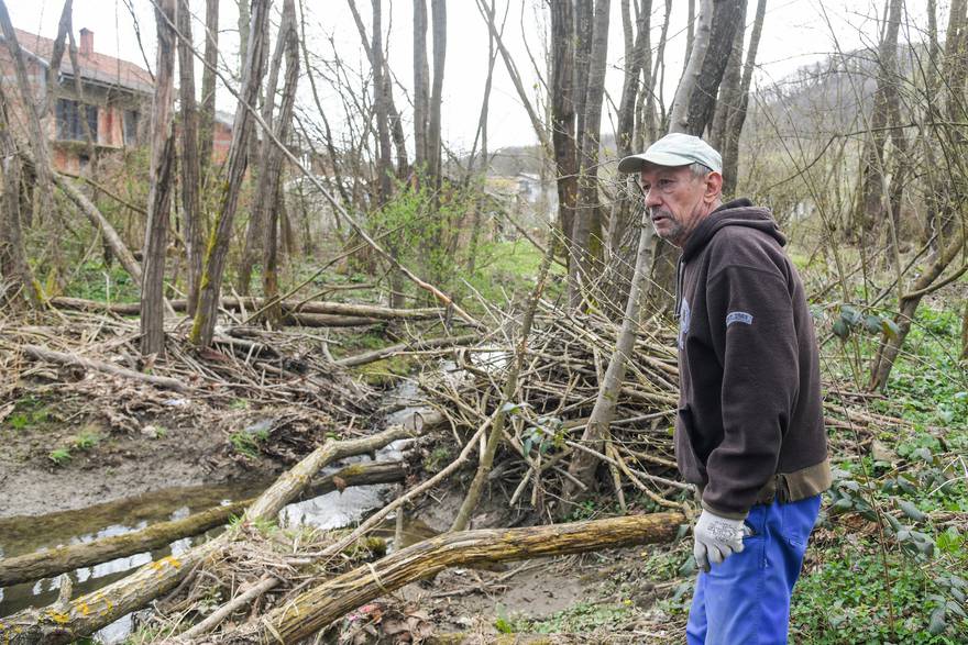 Dabrovi u Novom Marofu rade probleme: 'Ukrali su 200 letvi radnicima i odnijeli ih u potok'