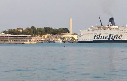 Fliper u Splitu: Kroz luku je pola sata kružio jedan dupin