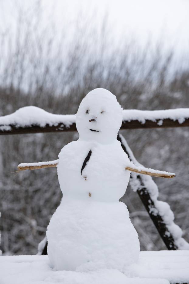 Kopački rit: Zimska idila u Baranji 