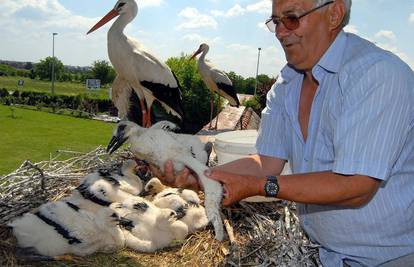 Slavonski Brod: Za deset dana pet malih roda idu na prvi let