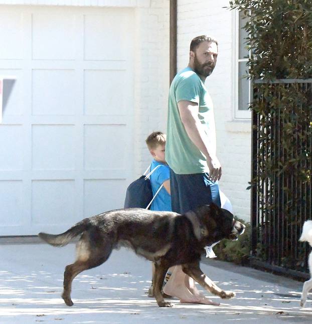 EXCLUSIVE: Ben Affleck goes barefoot as he takes his dogs for a walk in Los Angeles