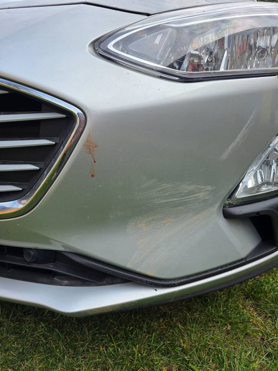 VIDEO Bik mjesecima terorizira Gračac, policija je već pet puta intervenirala: 'Bojimo se...'