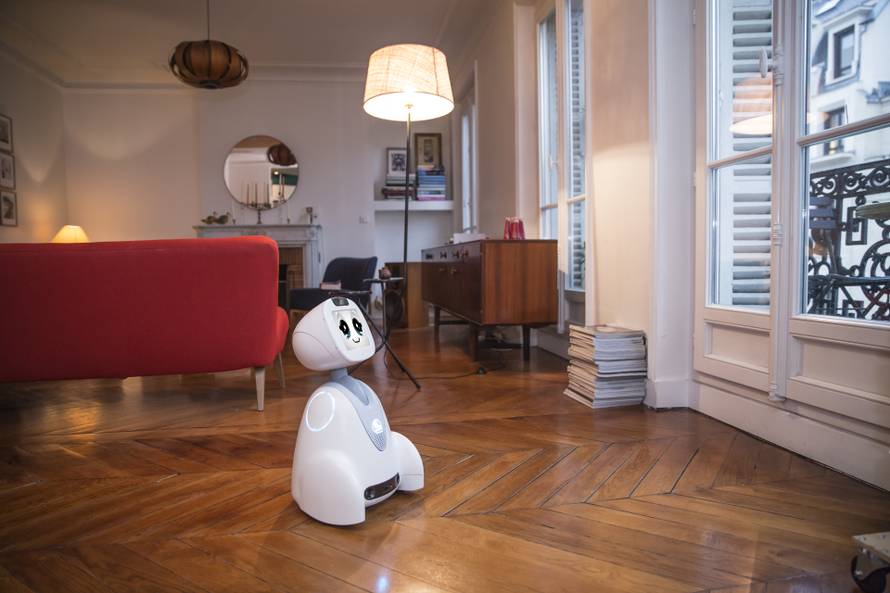 Buddy čuva kuću, budi vas, zna hoće li kišiti i igra se s djecom