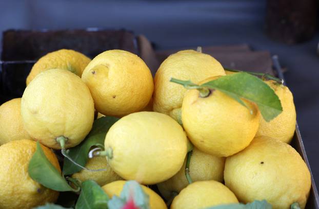 Šibenik: Ponuda vo?a i povr?a na tržnici