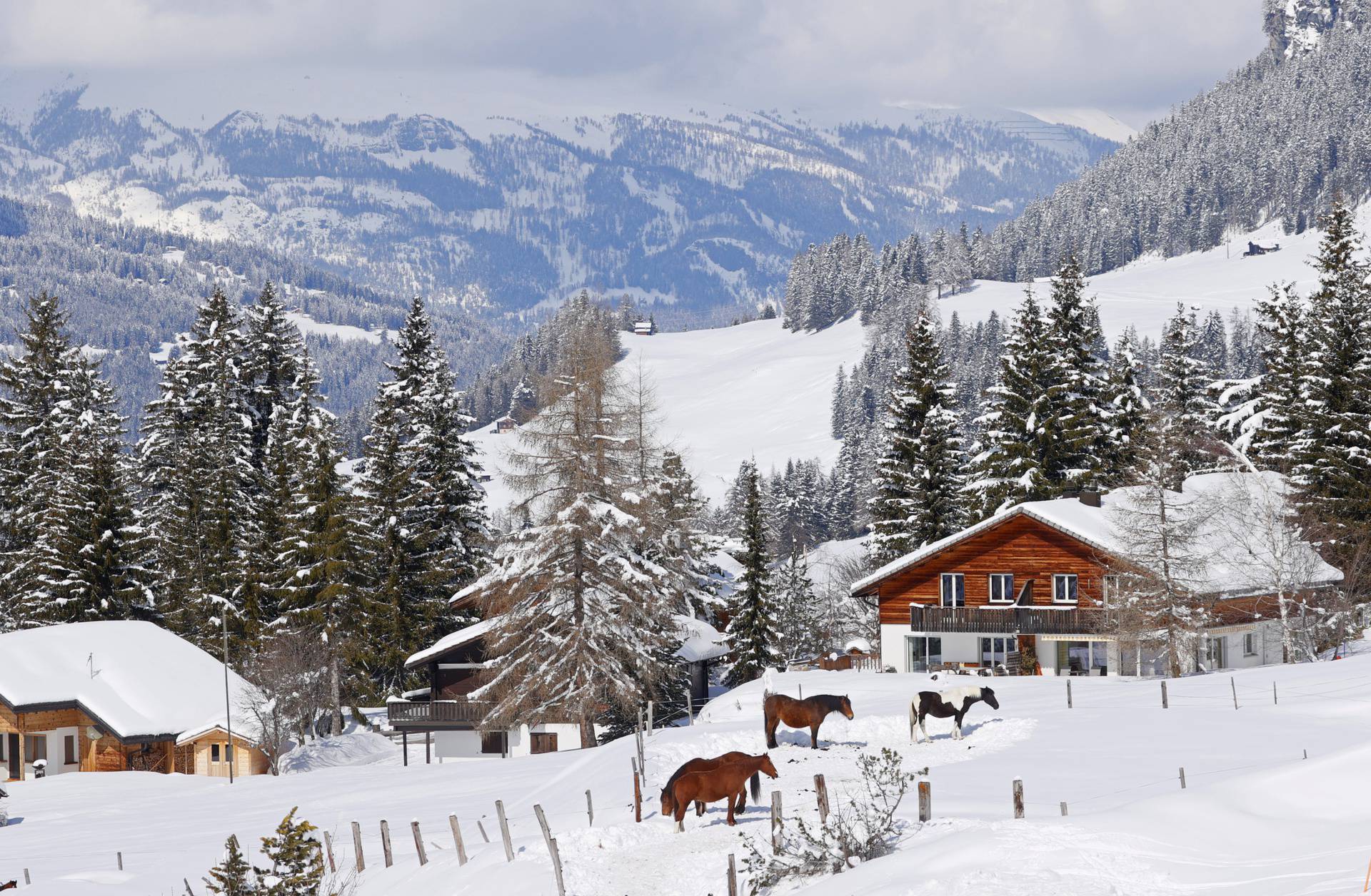 Outbreak of the coronavirus disease (COVID-19) in Lenzerheide