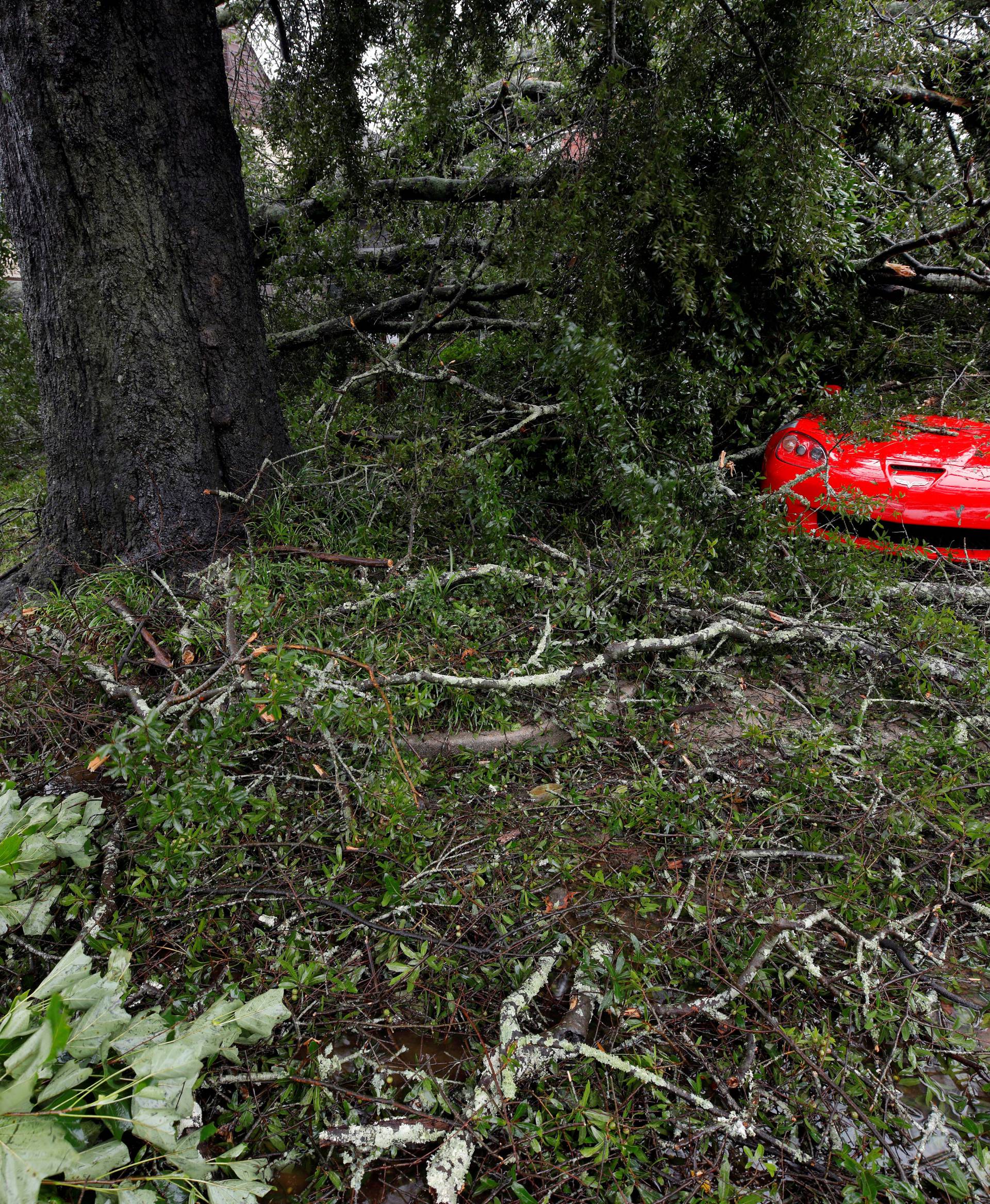 Leaves, branches and other debris surround and cover a sports car after Hurricane Florence hit Wilmington