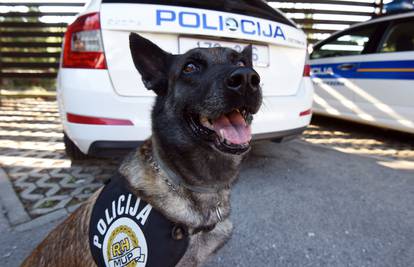 MUP kupuje pse: 'Oni će moći zamijeniti do 30 policajaca...'