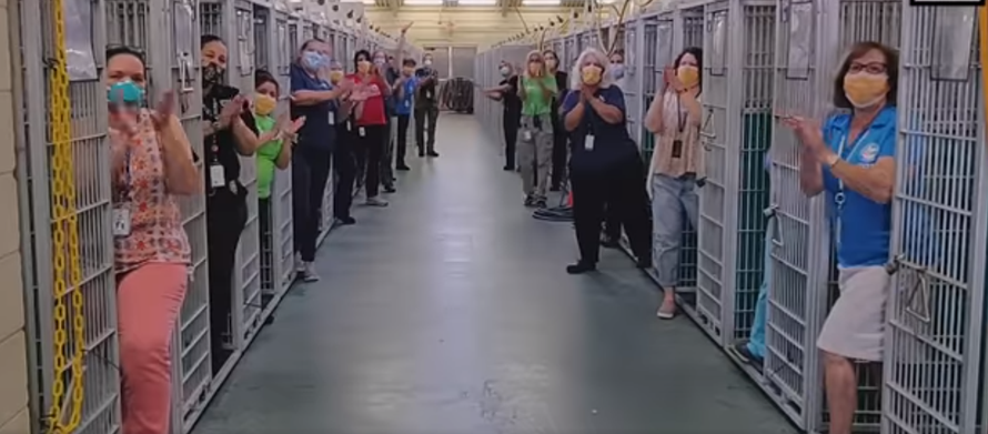 Udomljeni svi psi: Prvi put su kavezi u ovom skloništu prazni