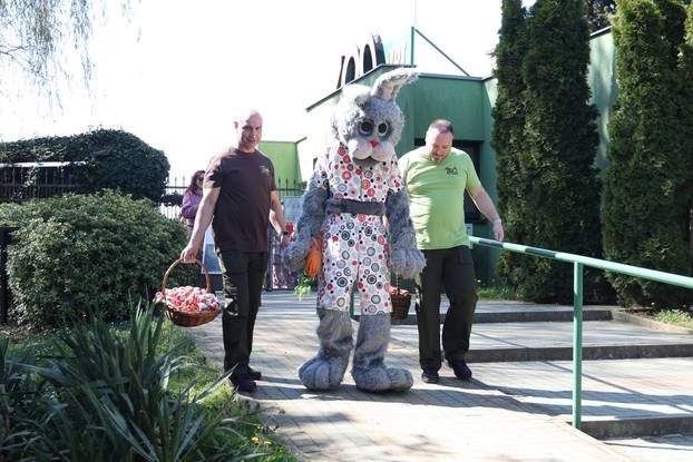 Osijek: Uskršnji ponedeljak u ZOO vrtu