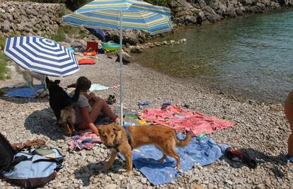 Plaže za pse: Popis lokacija na kojima su ljubimci dobrodošli 