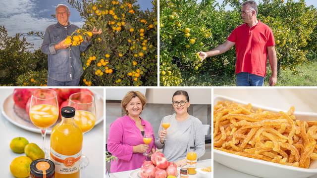 'Otkupna cijena za kilogram mandarina je mizerna, ali se trudimo iz svega izvući najbolje'