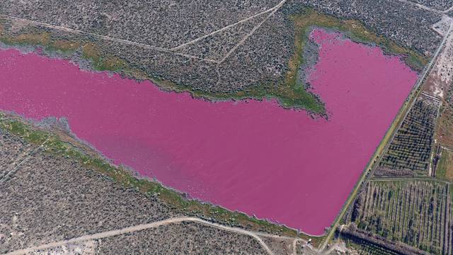 Jezera u Argentini postala ružičasta - ekolozi su zabrinuti