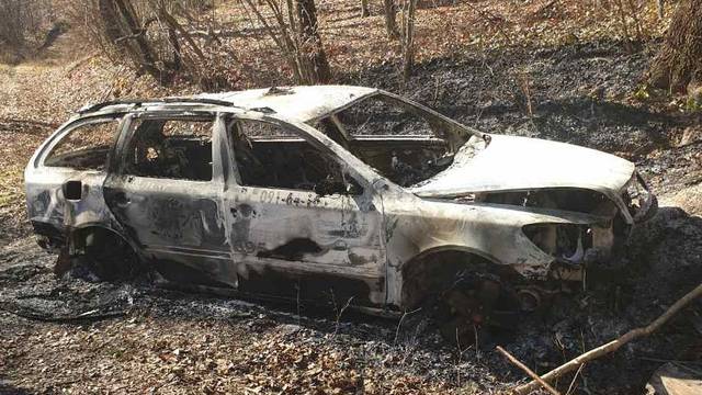 Napao taksista, ukrao mu auto pa otišao u šumu i - zapalio ga!