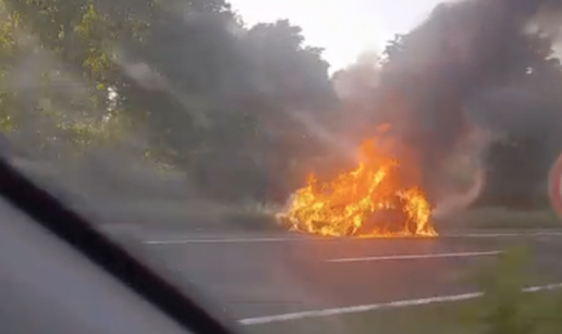 VIDEO Buktinja na A1: BMW u potpunosti izgorio kod Lučkog