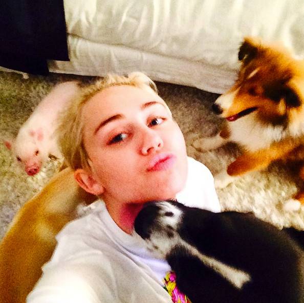 Borba oko skrbništva: Miley ne da Liamu svojih 15 ljubimaca