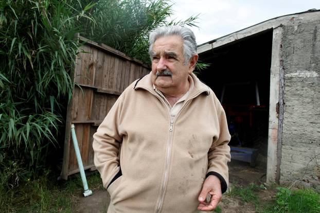FILE PHOTO: Presidential candidate of ruling party Frente Amplio former left-wing guerrilla fighter Jose Mujica chats in his farm in Montevideo outskirts