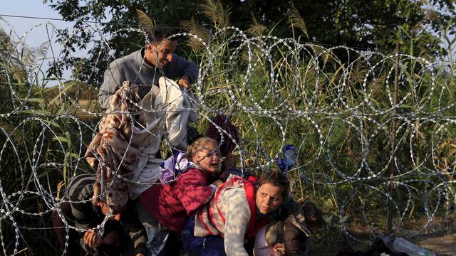 Syrian migrants cross under a fence as they enter Hungary at the border with Serbia, near Roszke