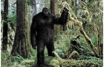 Znanstvenici tvrde:  Bigfoot postoji i za to imamo dokaze!