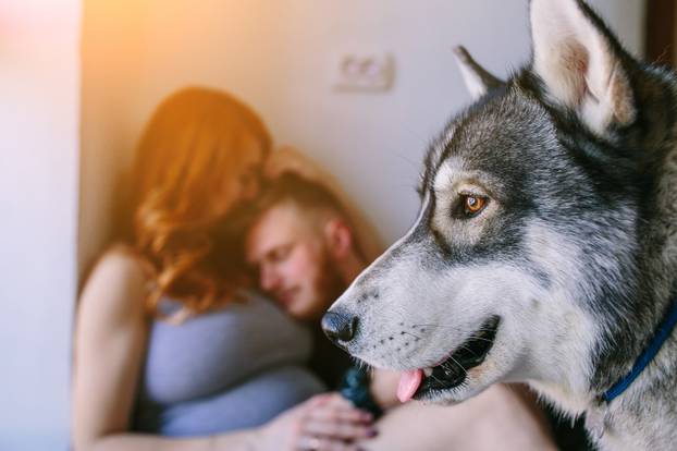 husband and pregnant wife