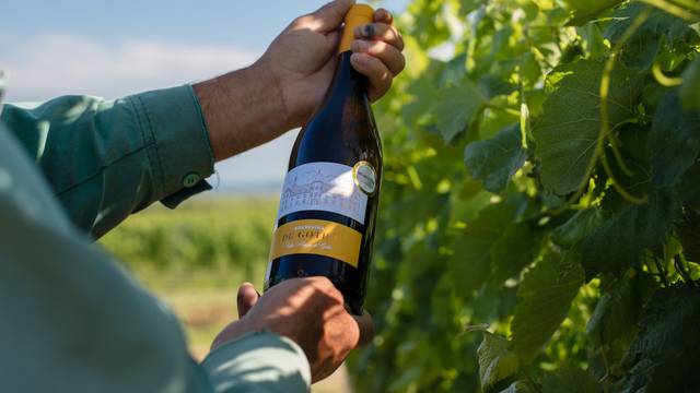 Vino koje morate probati jer je oduševilo vinske znalce – de Gotho graševina 2018.