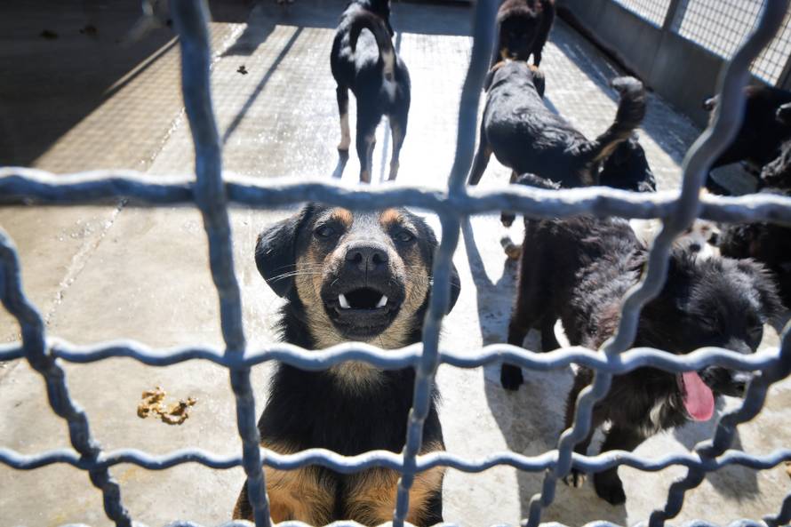 Tomašević obišao radove na izgradnji objekta u sklopu projekta "Oporavilište za divlje životinje - Modernizacija ZOO grada Zagreba"