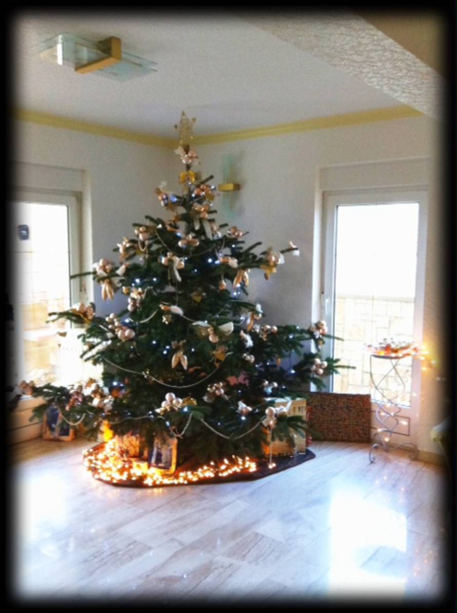 Šaljite fotografije božićnih jelki i osvojite vrijednu nagradu...