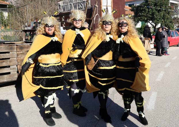 Jezera: Maškarana povorka prodefilirala je Jezerima