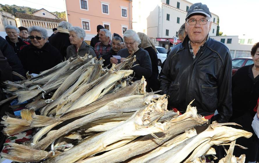 Hrvoje Jelavić/PIXSELL