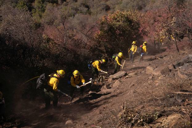 Wildfires in Los Angeles