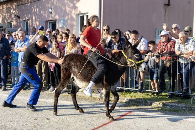 Pula: Održana je tradicionalna 55. Trka na tovari