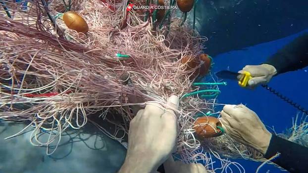 Italian Coast Guard divers free whale caught in fishing net off Lipari coast